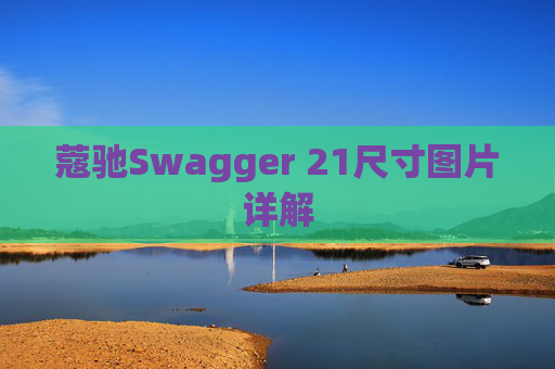 蔻驰Swagger 21尺寸图片详解
